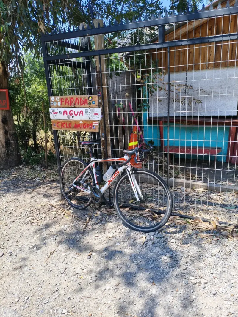 Bicicleta de Ruta XDS Talla S - 1
