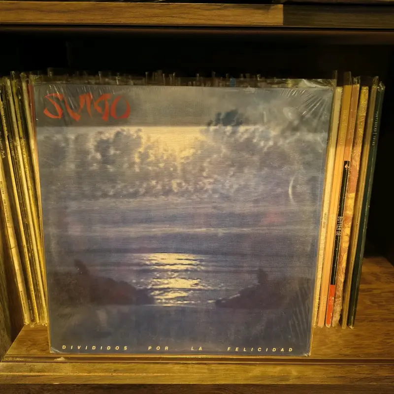 Lote de Vinilos (6 Unidades) - 6