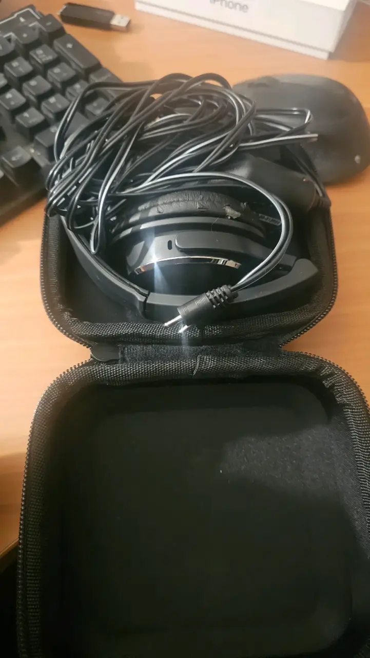 Audífonos con cable en estuche