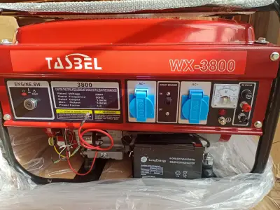 Generador eléctrico portátil - miniatura 8