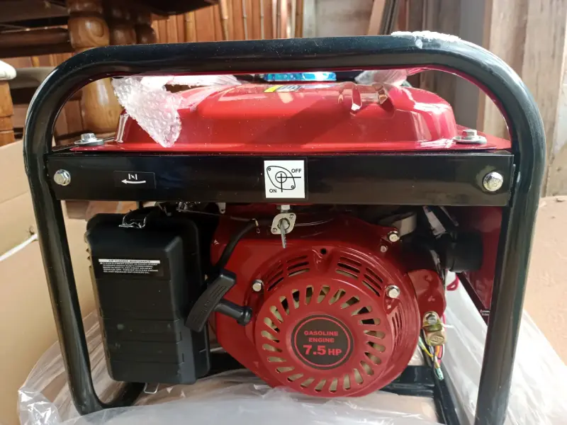 Generador eléctrico portátil - 10