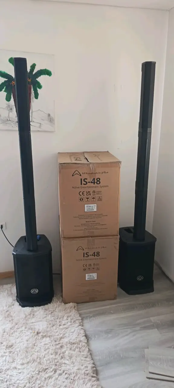 Sistema de sonido Is-48 son 2 sistemas