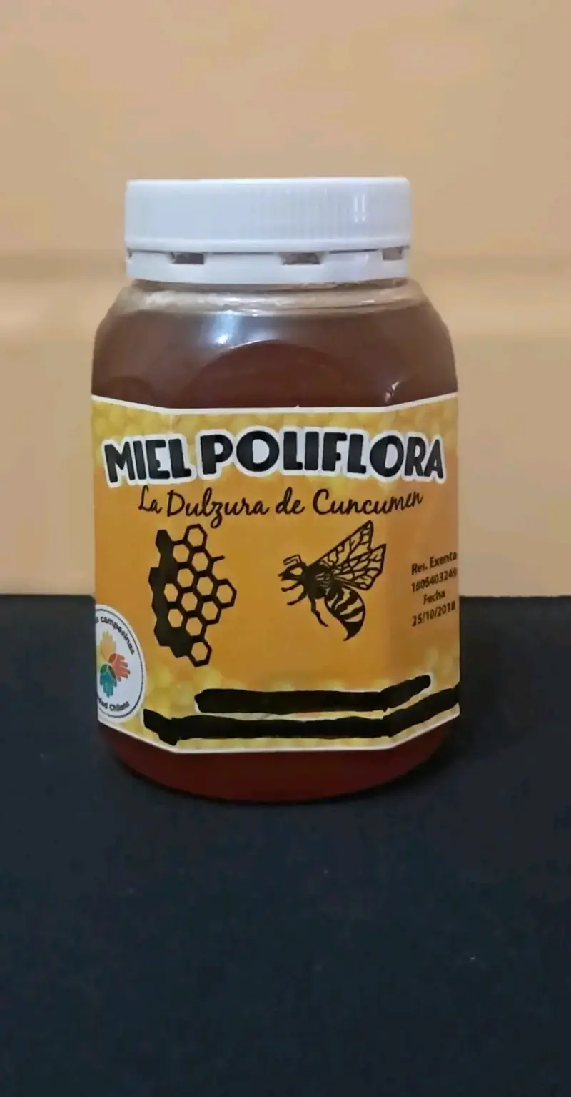 Miel poliflora Culnumen 1 kg - 2
