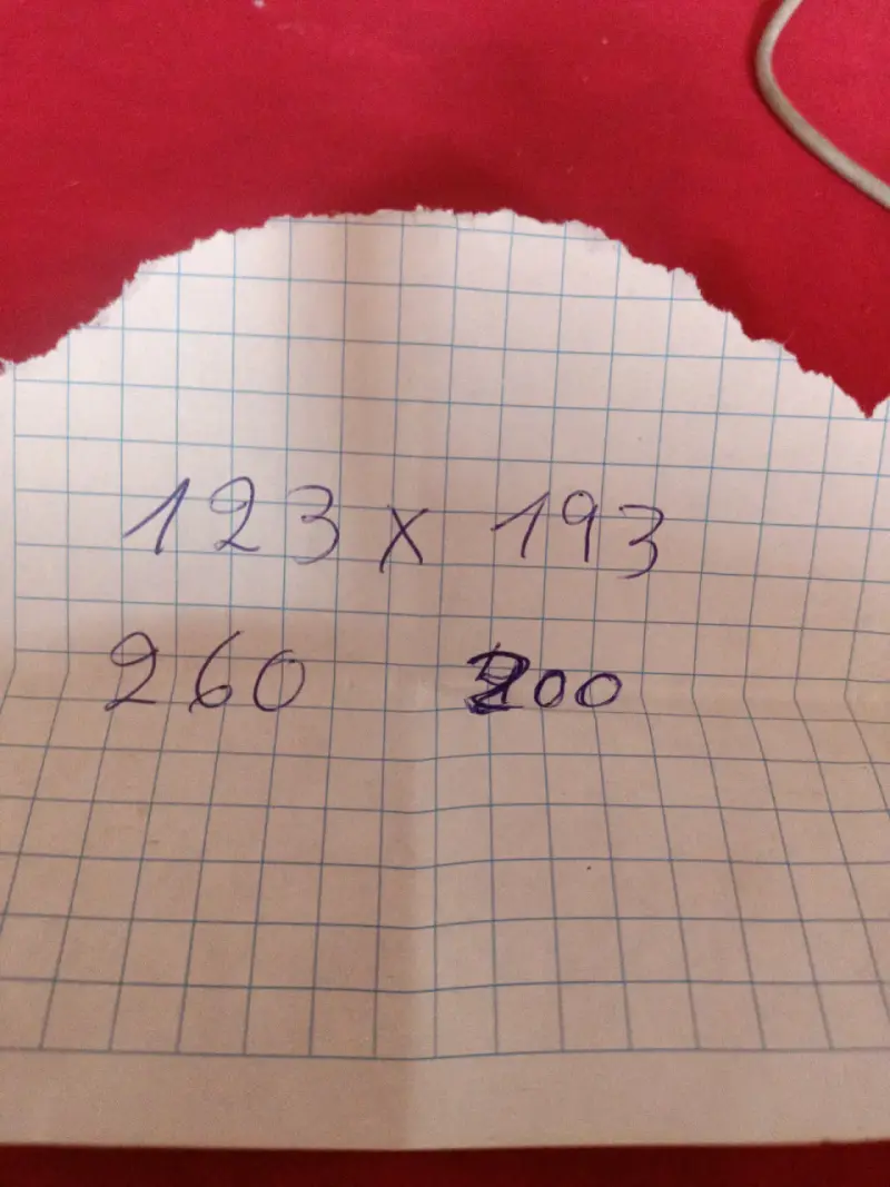 Paños Reja metálica negra - 6