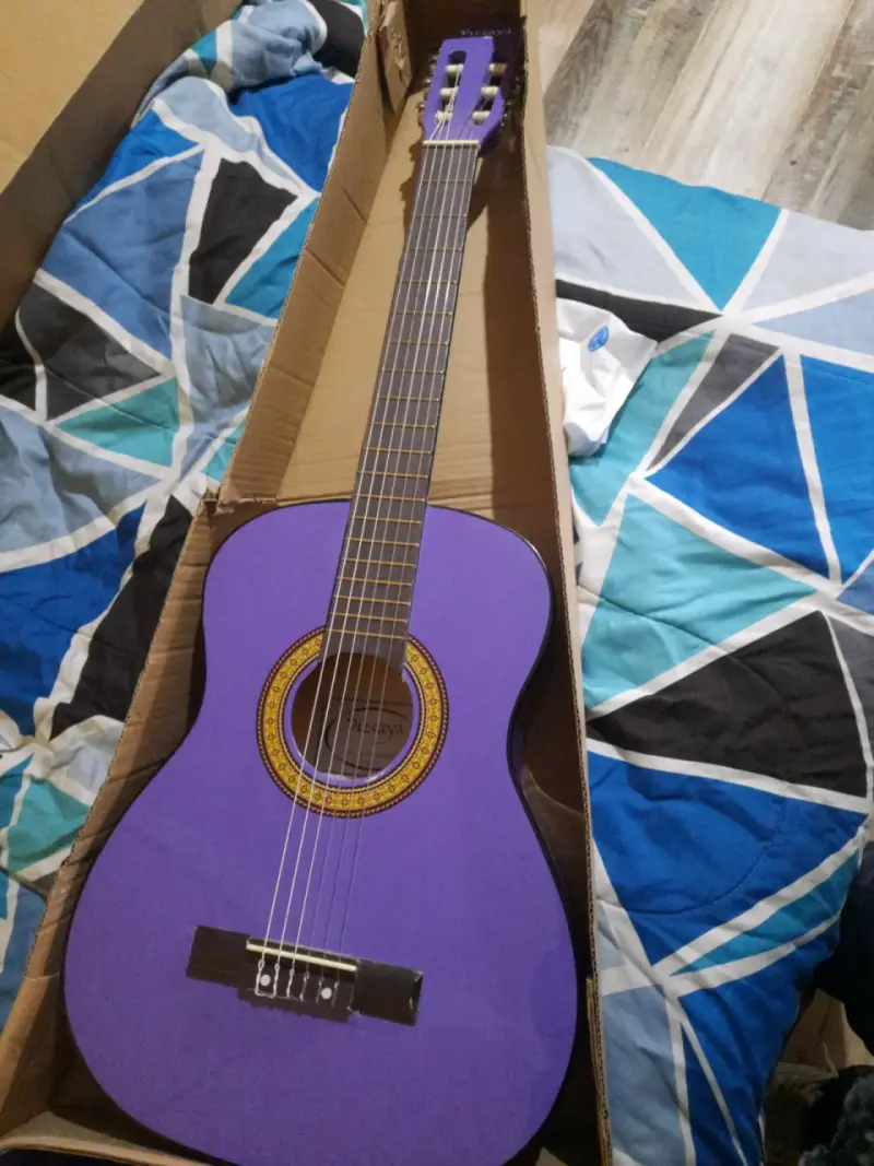 Guitarra Vizcaya - 3
