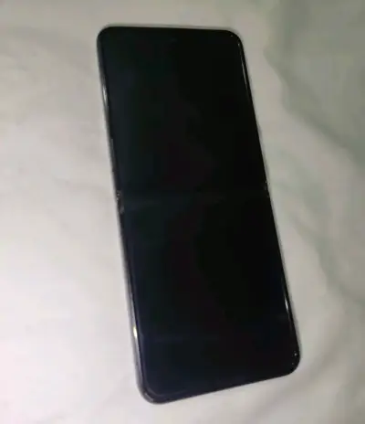 Samsung Galaxy Z Flip 4 - miniatura 2