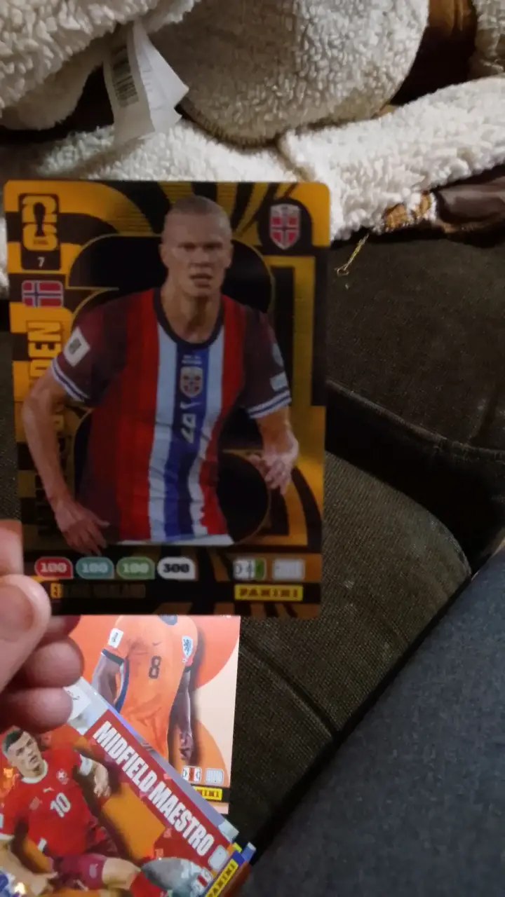 Lámina Panini limitada fútbol