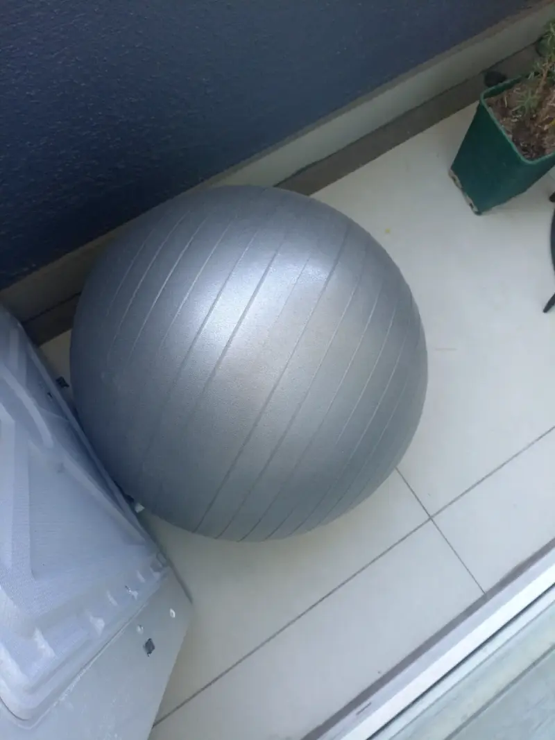 Pelota de ejercicio plateada