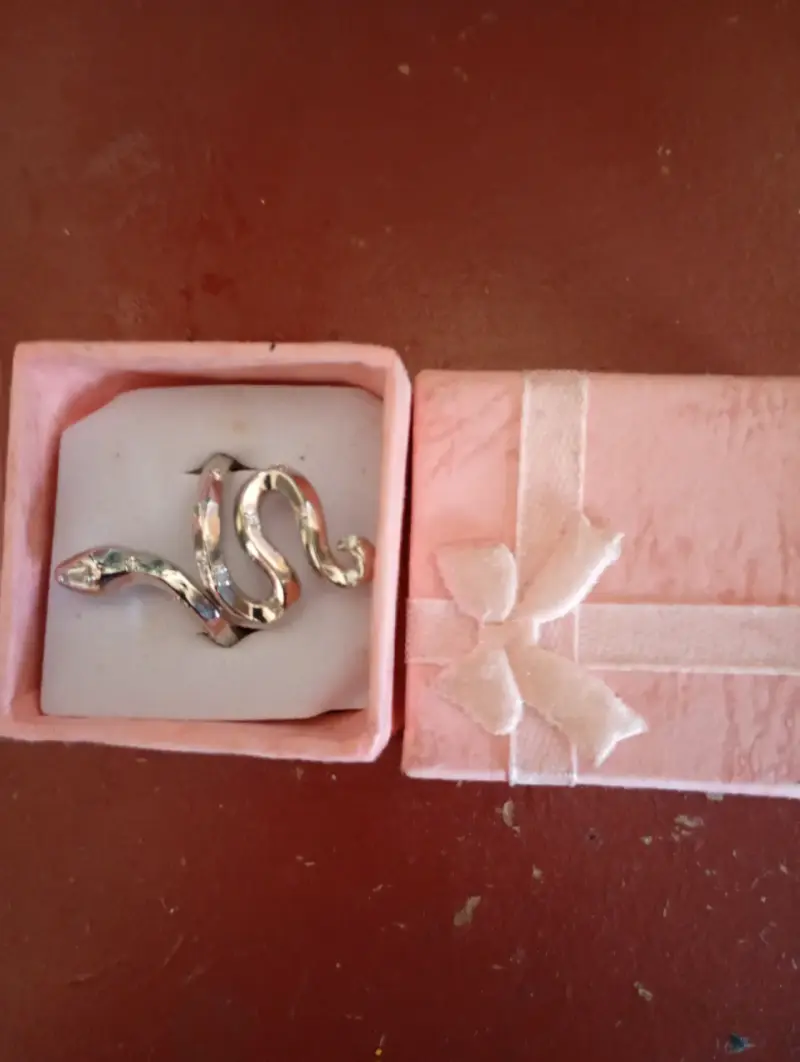 Broche de serpiente plateado - 1