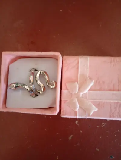 Broche de serpiente plateado - miniatura 1