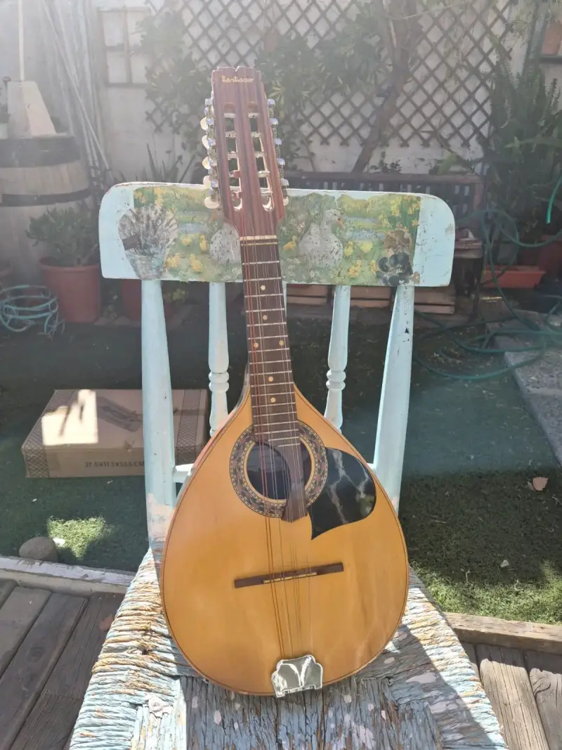 Mandolina de madera clásica - 1