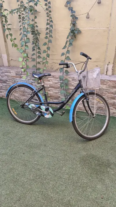 Bicicleta urbana Oxford azul - miniatura 1