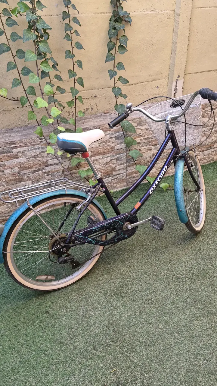 Bicicleta Oxford azul vintage - 2