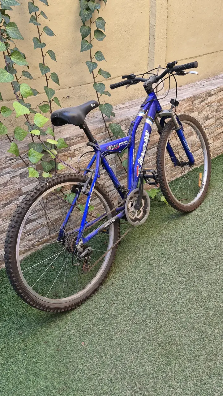 Bicicleta todo terreno azul - 2