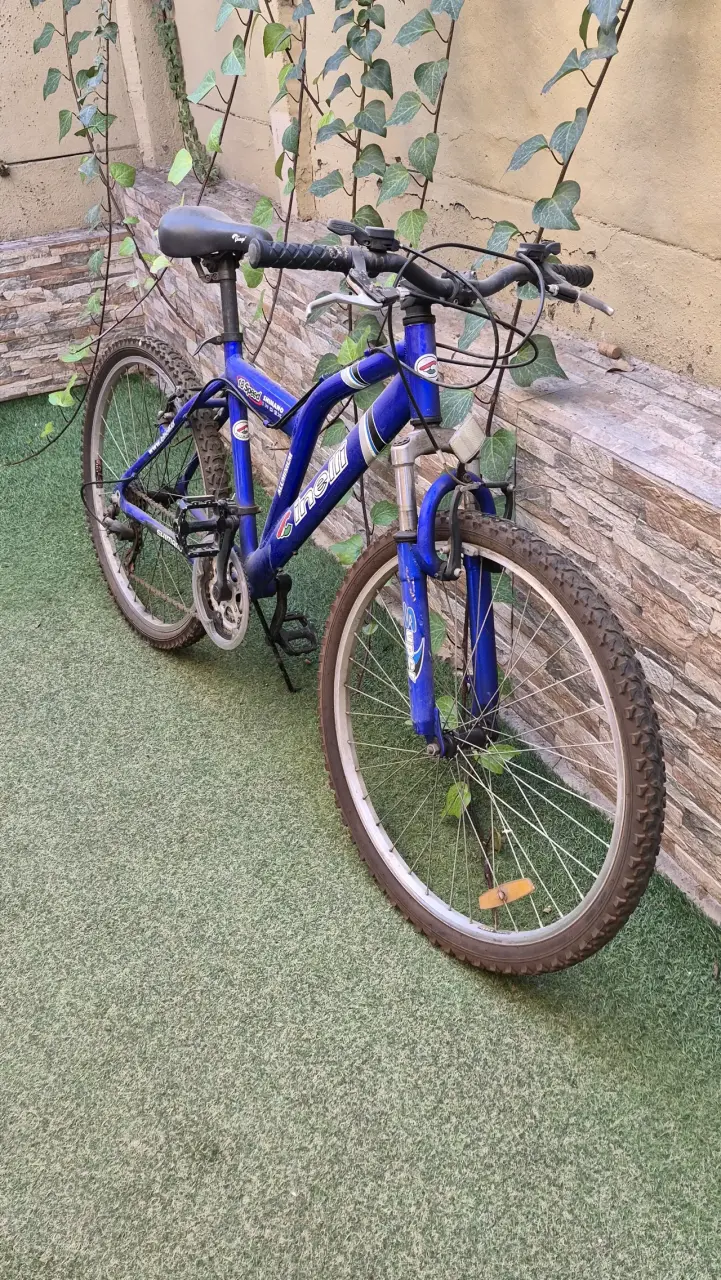 Bicicleta todo terreno azul - 3