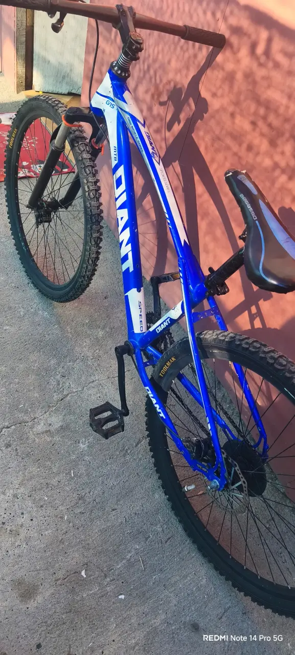 Bicicleta mountain bike azul - 1