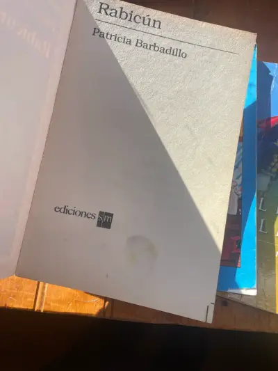 Lote de libros infantiles y juveniles - miniatura 5
