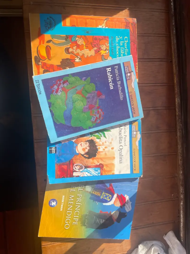 Lote de libros infantiles y juveniles - 1