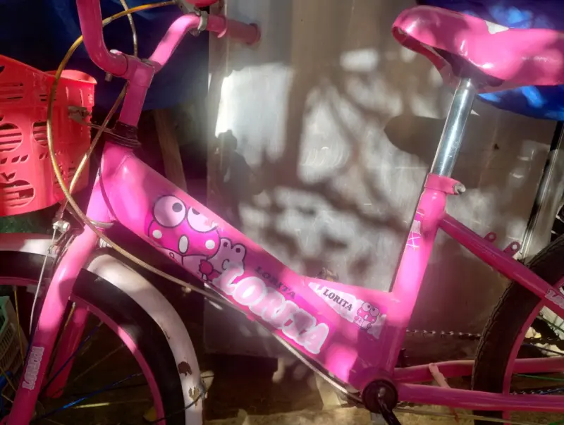 Bicicleta infantil rosa - 2