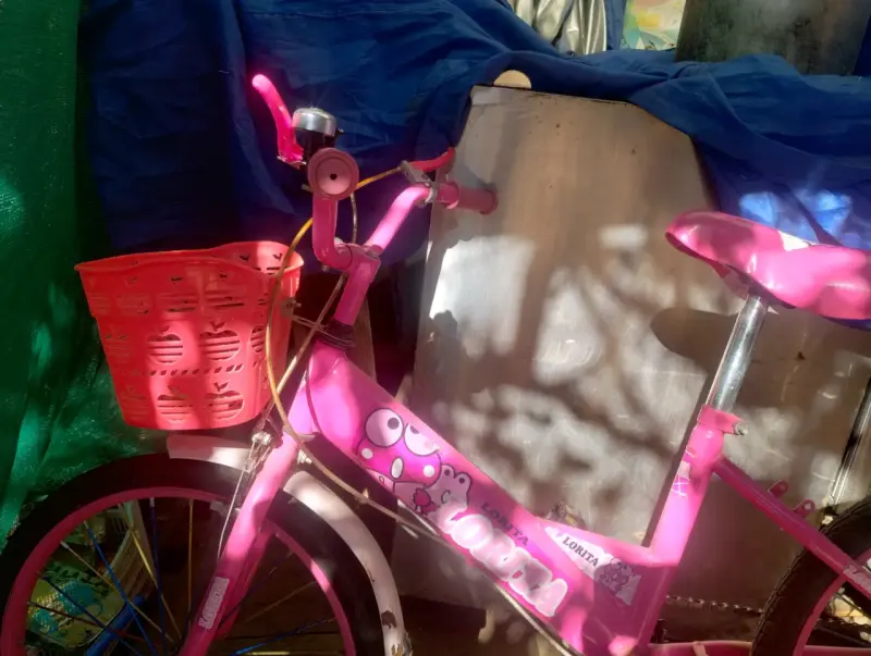Bicicleta infantil rosa - 3