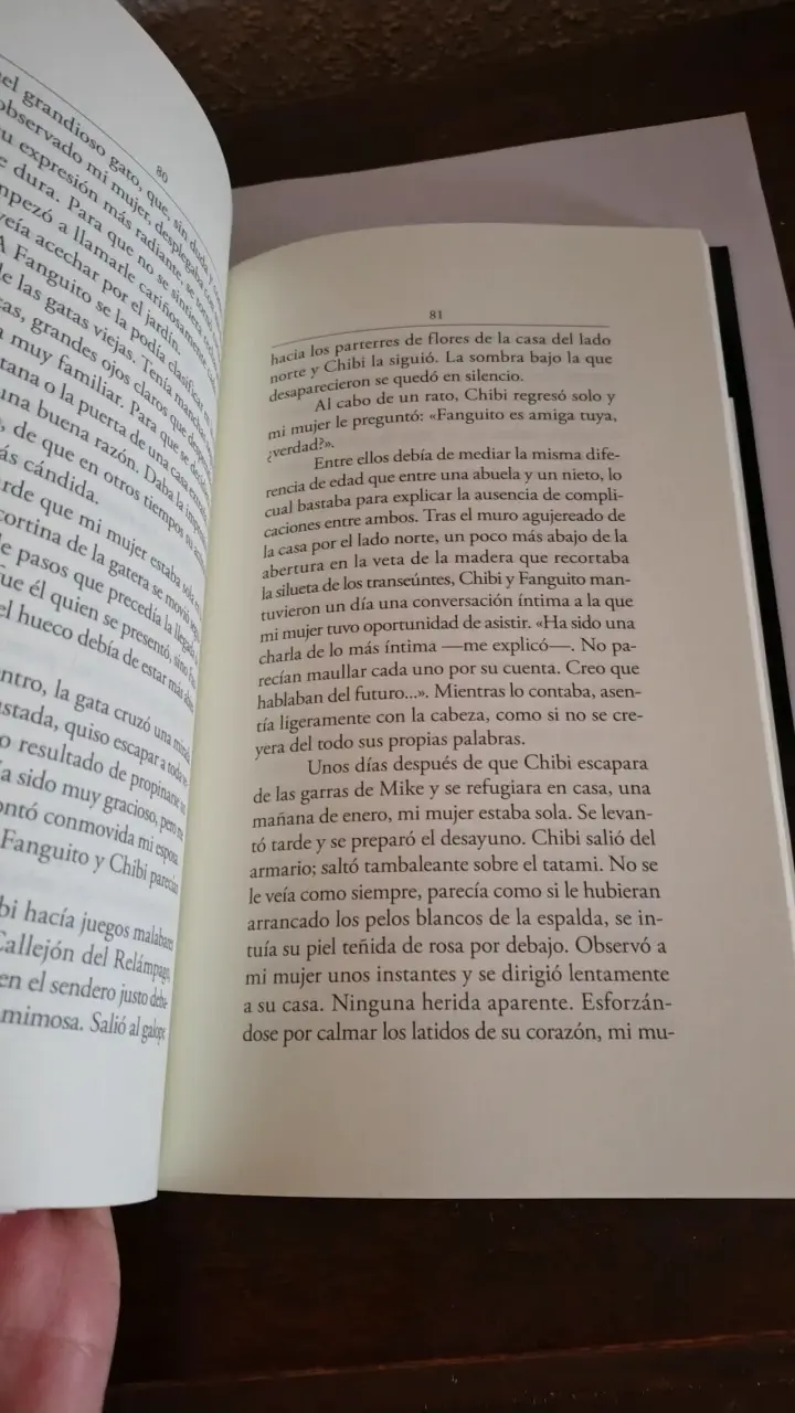 Libro El gato que venía del cielo - 3