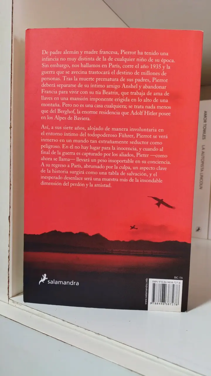 Libro 'El niño en la cima de la montaña' - 2