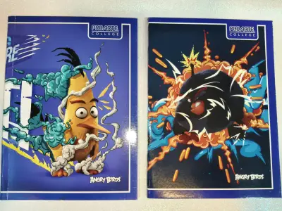 2x$1.000, Cuadernos college, ProArte Angry Birds - miniatura 1