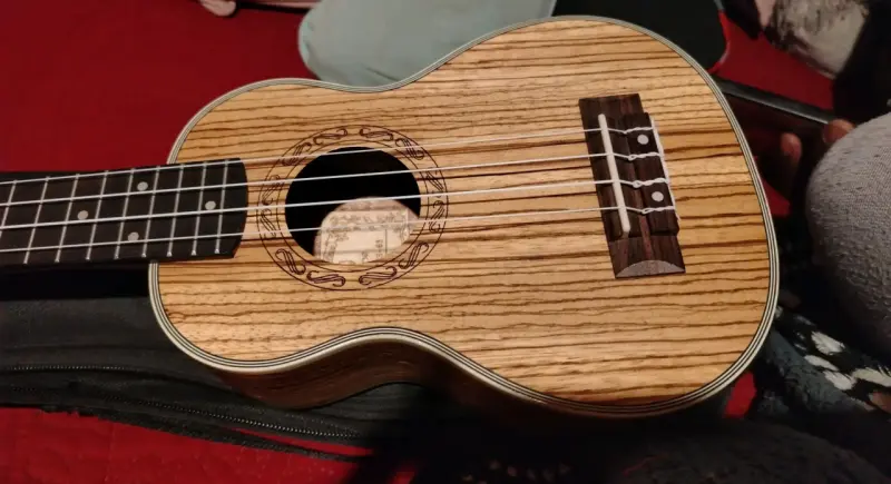 Ukulele de madera con funda, colgador, sejillo - 2