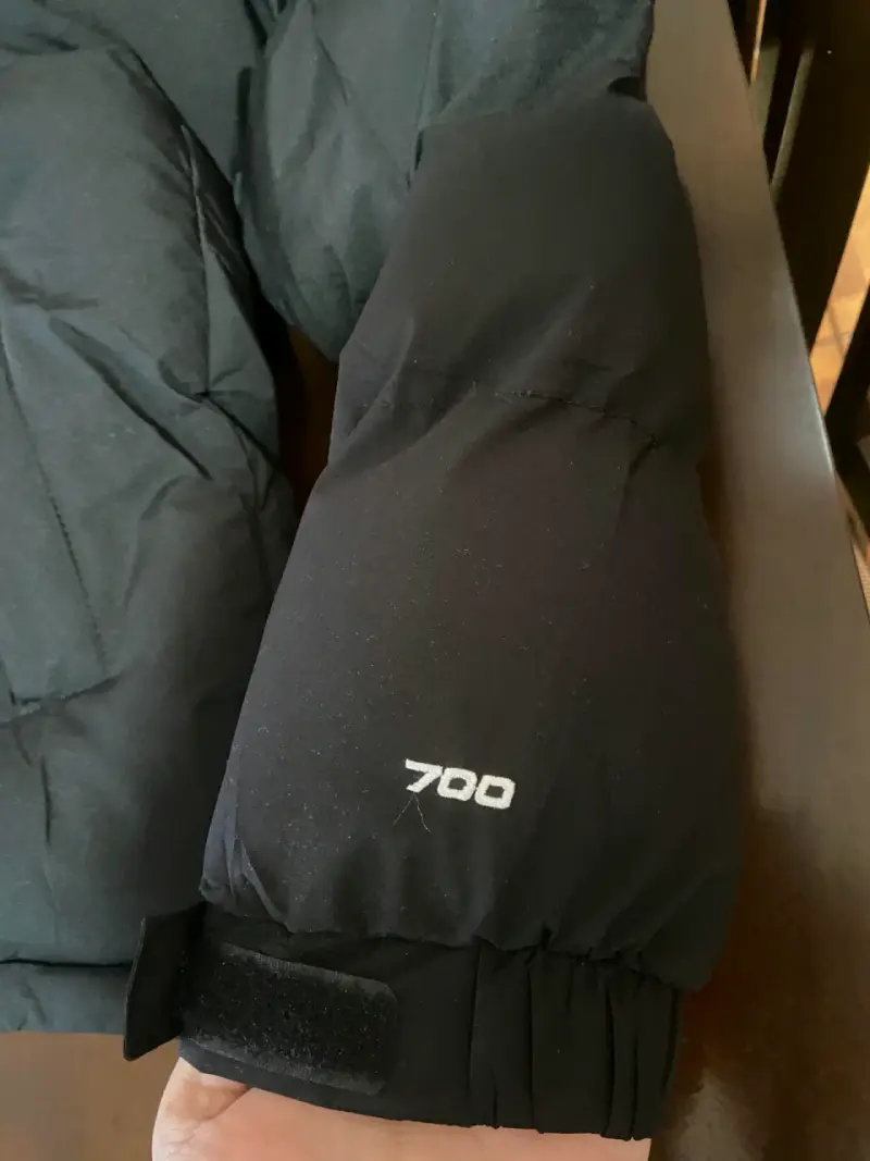 Chaqueta negra The North Face 700 - 2