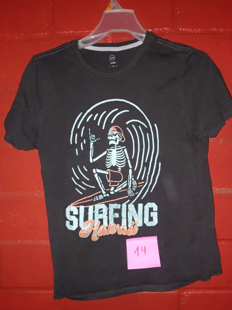 Polera negra Surfing Hawaii