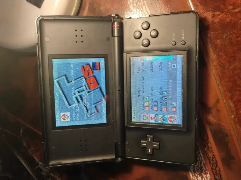 Consola Nintendo DS lite - 2