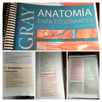 Libro Anatomía Gray 3ra edición - miniatura 1