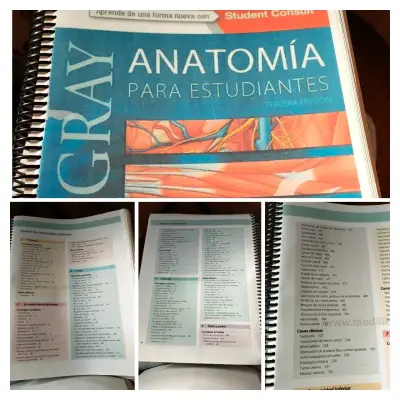 Libro Anatomía Gray 3ra edición - miniatura 2