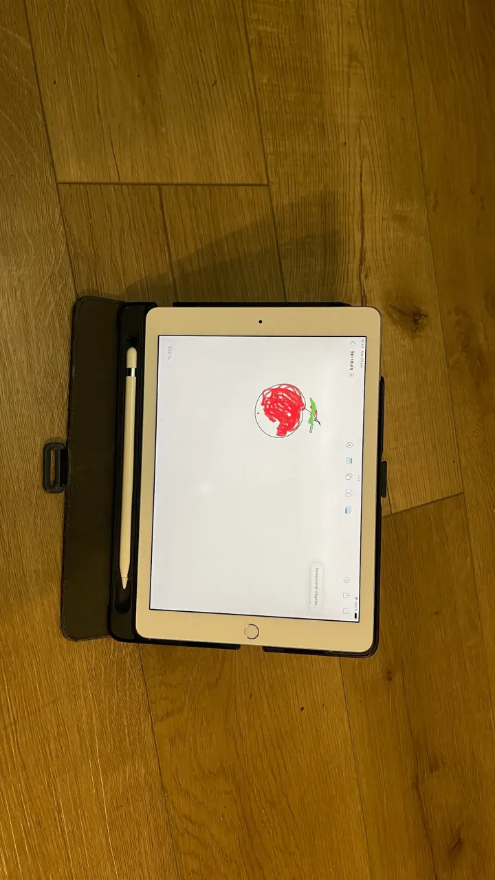iPad con funda y lápiz - 5