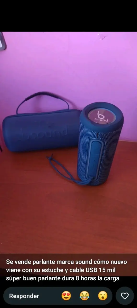 Parlante Sound con estuche