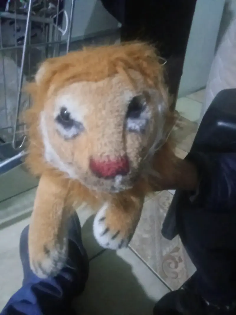 Peluche de león usado