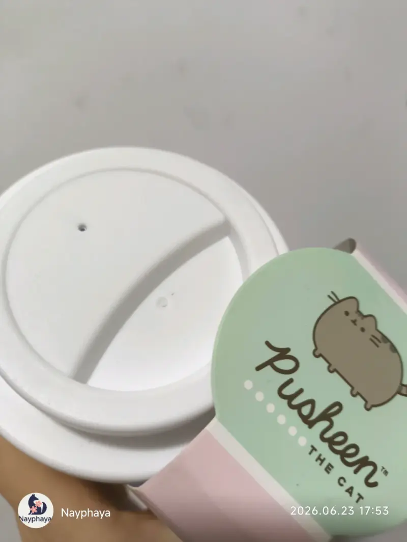 Pusheen temática pusheencornio - 2