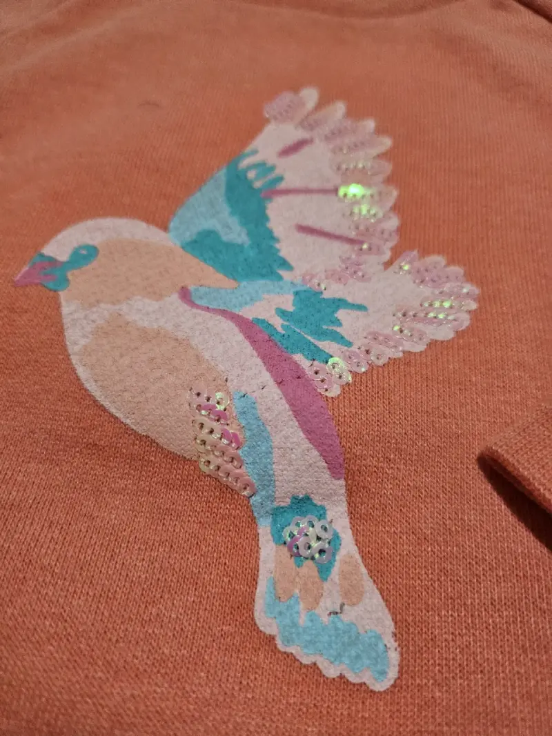 Conjunto niña calza, poleras y poleron - 5