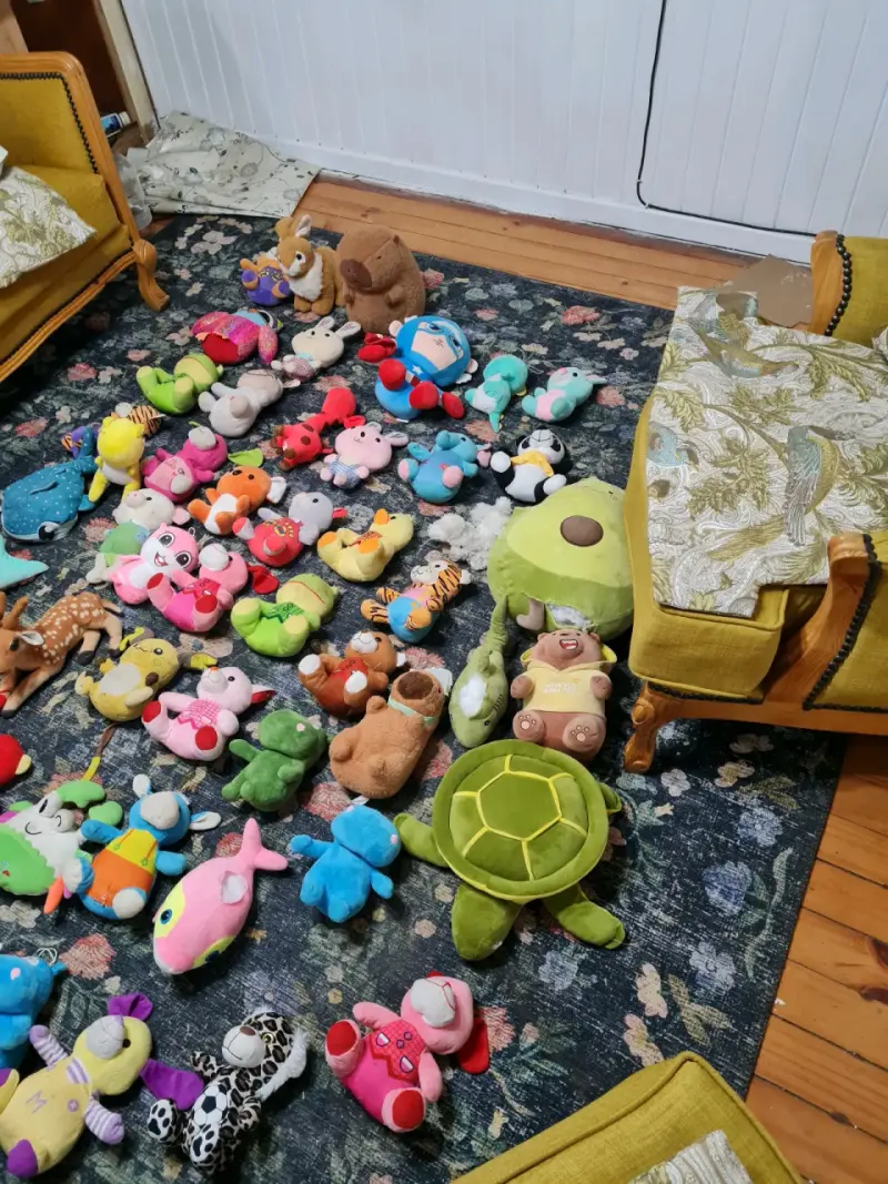 Lote de peluches coloridos - 1