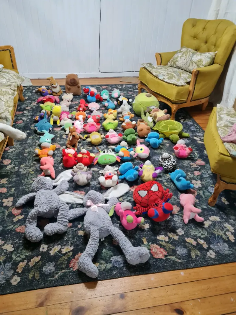 Lote de peluches coloridos - 2