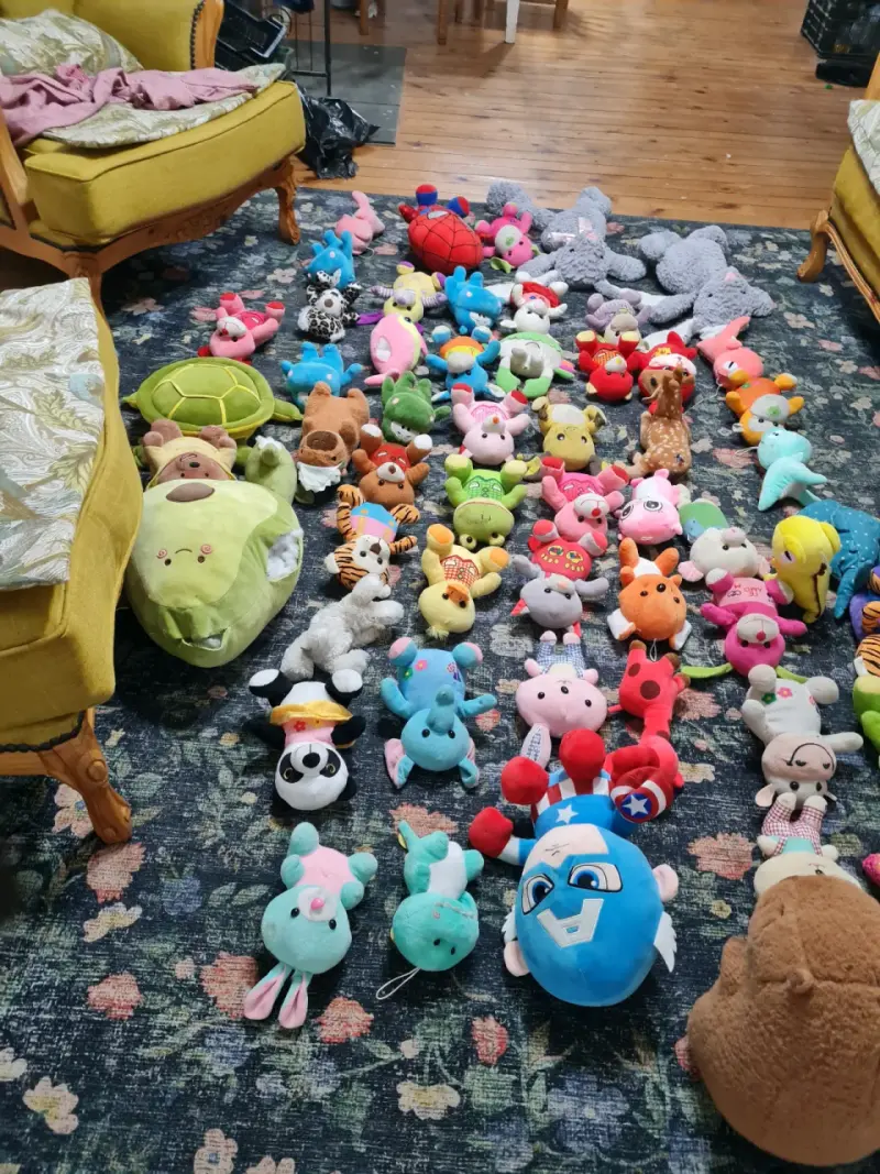 Lote de peluches coloridos - 4