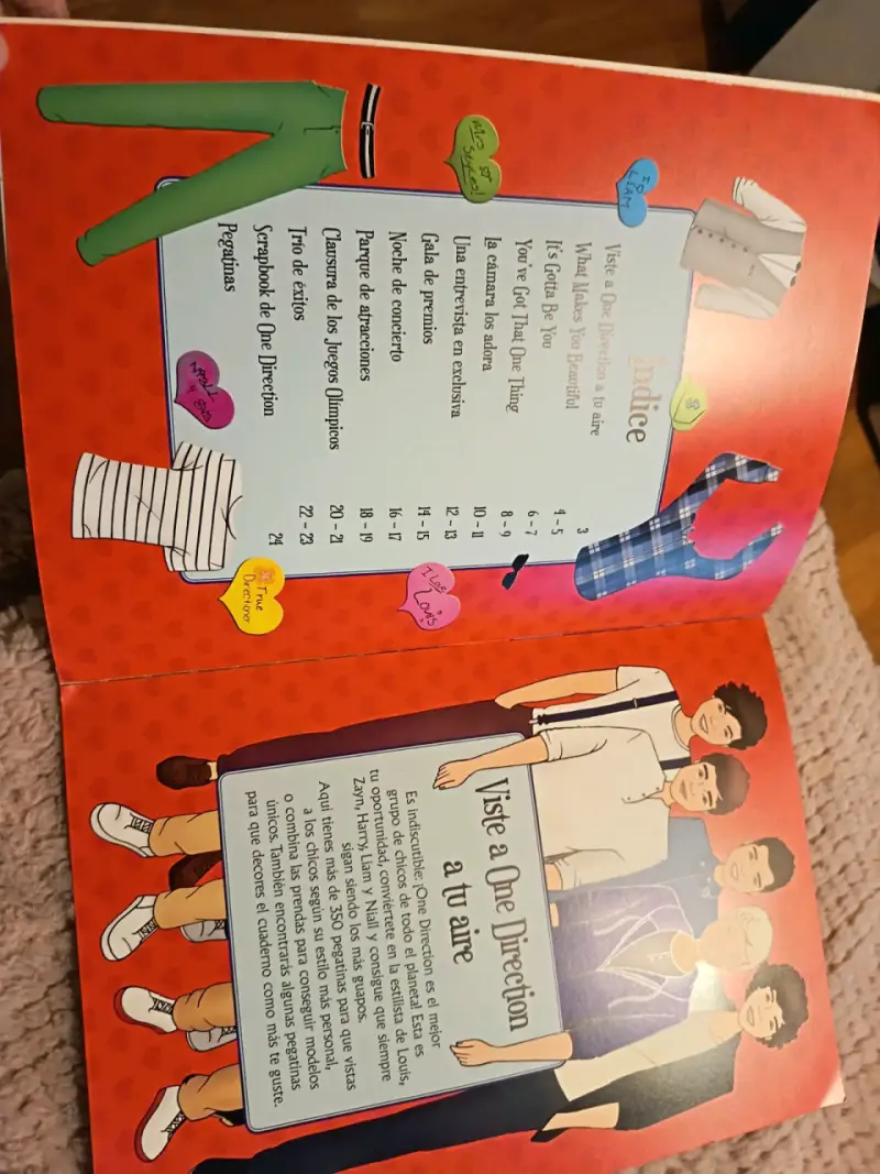 Libro Viste a One Direction - 2