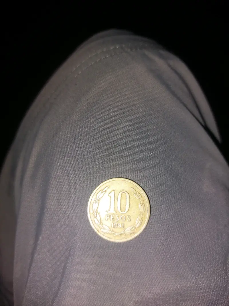 Moneda 10 pesos 1981 - 2