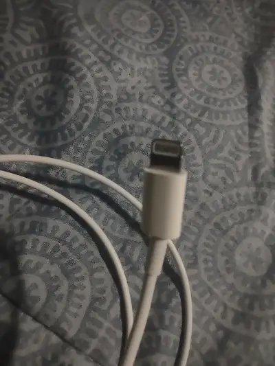 Cable para iPhone C-lightning - miniatura 2