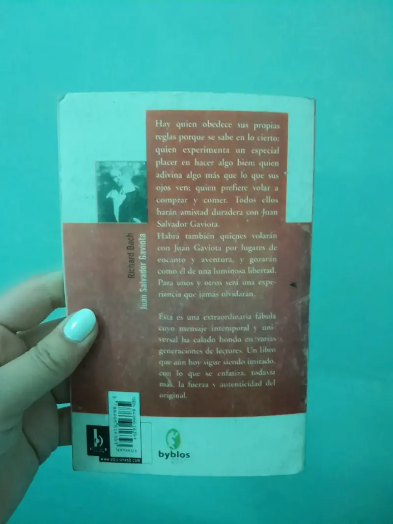 Libro Juan Salvador Gaviota - 2