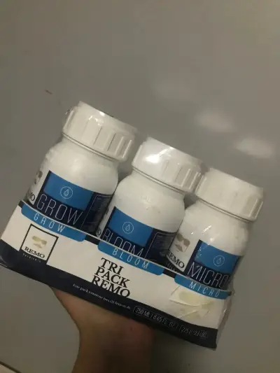 Kit GoBox+ Tripack Remo + Potenciador floración - miniatura 2
