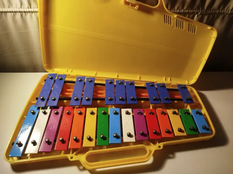 Xilófono infantil colorido con estuche