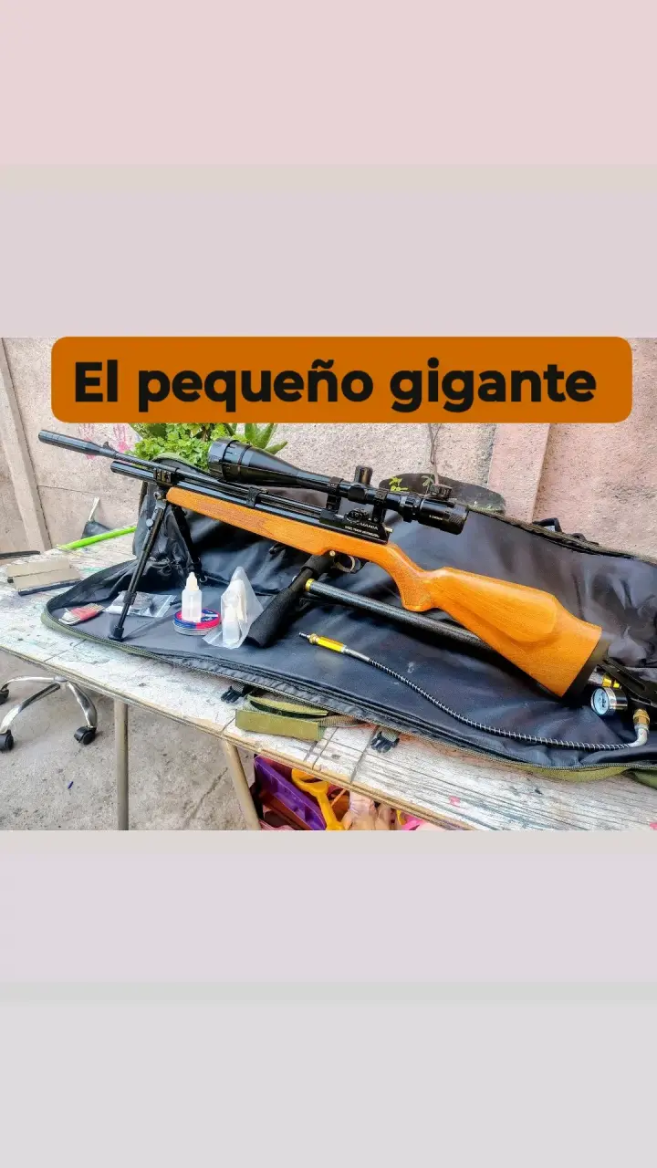 Rifle de aire comprimido con mira PCP PR 900 W - 1