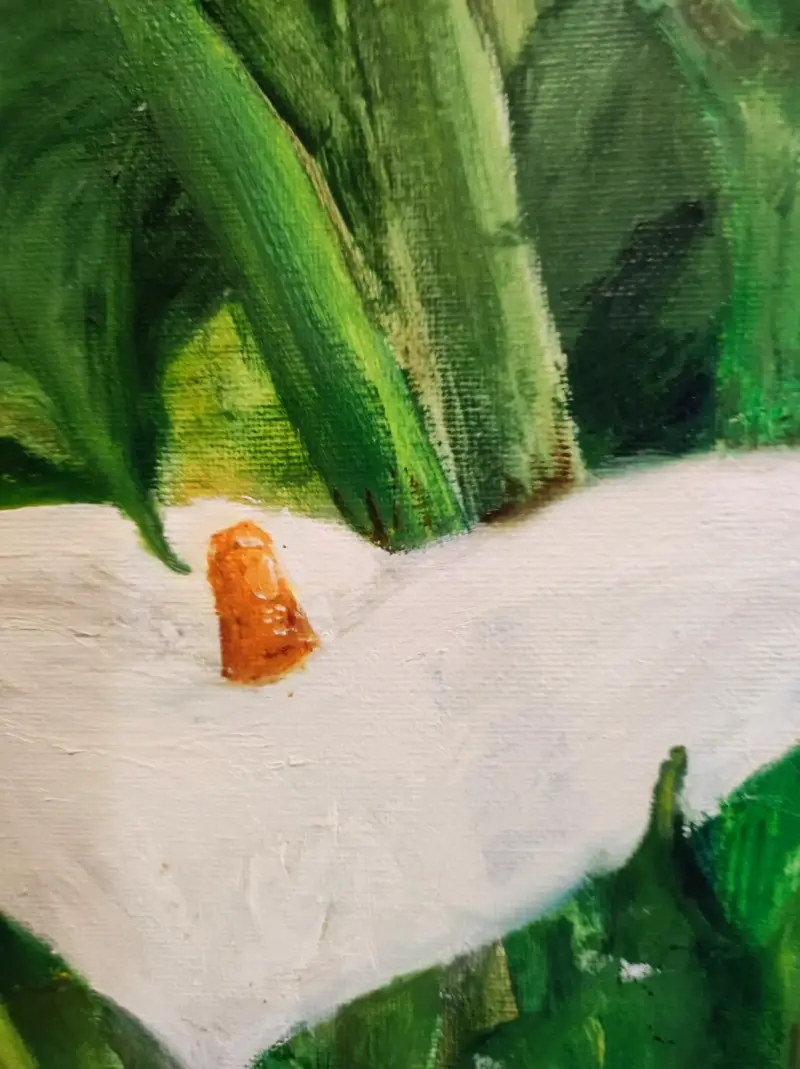 Pintura al oleo de calas - 2