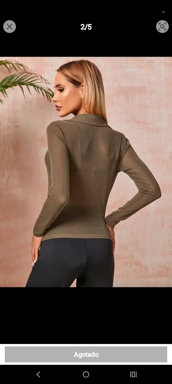Blusa manga larga transparente cafe - 2